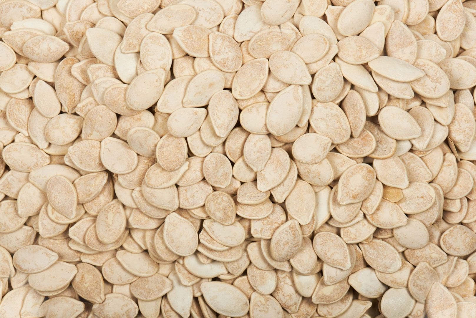 pipa-calabaza-tostada