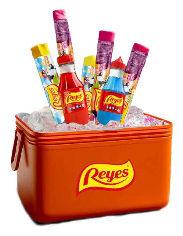 El verano sabe a Reyes - nevera